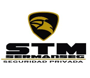 Logo-STM-1